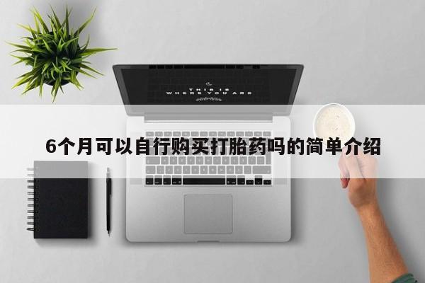 私人如何购买打胎药6个月可以自行购买打胎药吗的简单介绍